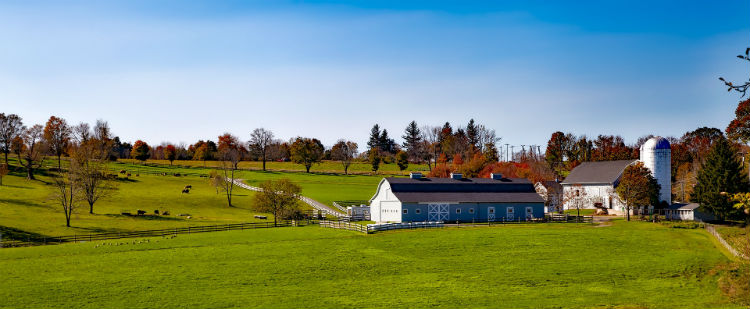 Farm In Connecticut